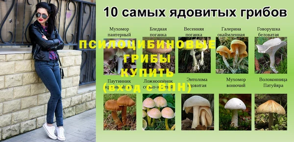ПСИЛОЦИБИНОВЫЕ ГРИБЫ Волосово