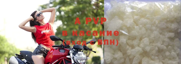 ПСИЛОЦИБИНОВЫЕ ГРИБЫ Волосово