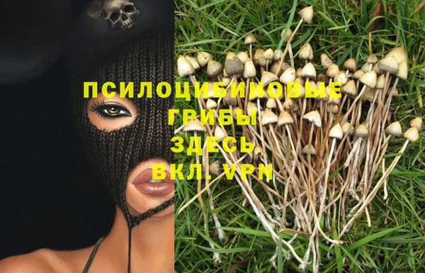 ПСИЛОЦИБИНОВЫЕ ГРИБЫ Волосово