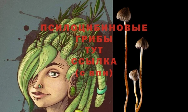 ПСИЛОЦИБИНОВЫЕ ГРИБЫ Волосово