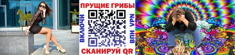 Купить где  Ржев  Галлюциногенные грибы Magic Shrooms 